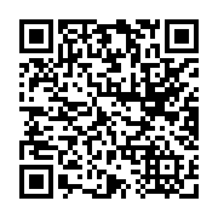 QR code for plate 331-HSD