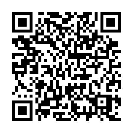 QR code for 333-CCS