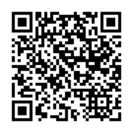 QR code for 333-CHG