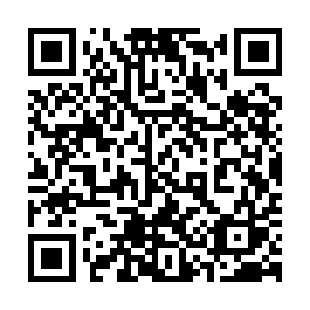 QR code for 333-QAS