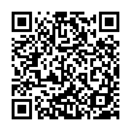 QR code for 333-QDI
