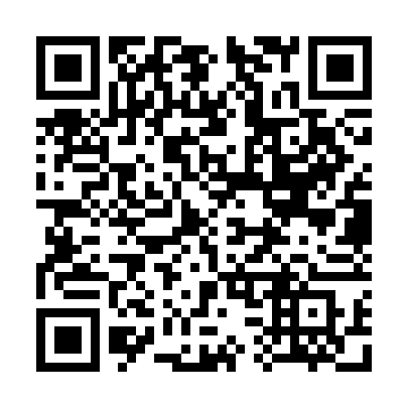 QR code for 333-SFS