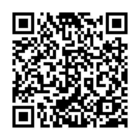 QR code for 333-SSP