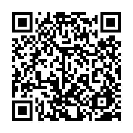 QR code for 333DZG