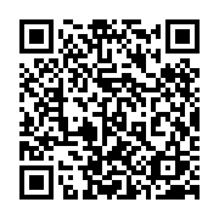 QR code for plate 333-PCS