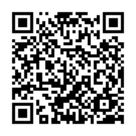QR code for 335-QST