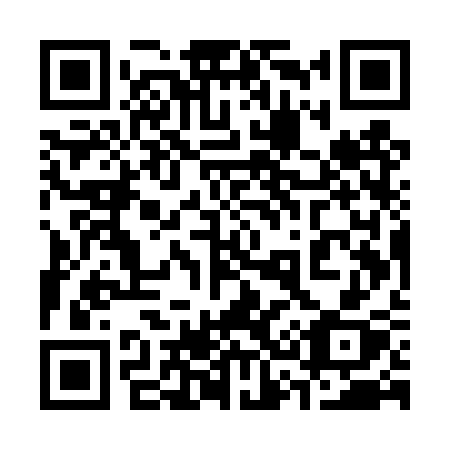 QR code for 335-TSX