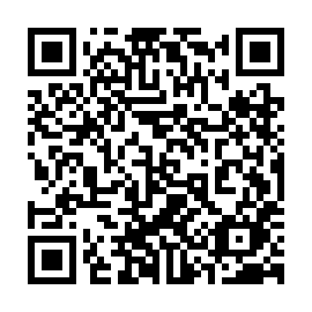 QR code for 335CHM