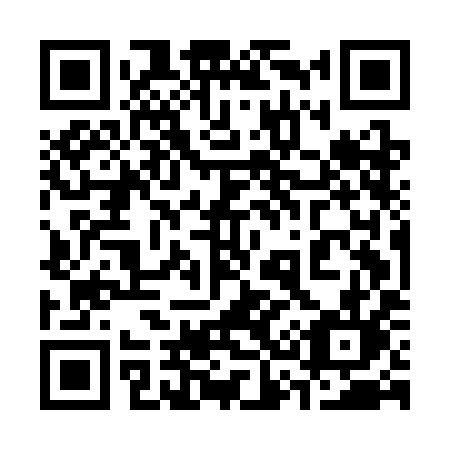 QR code for plate 335-CIL