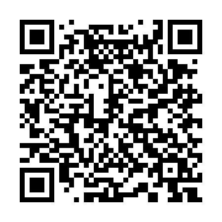 QR code for plate 335-DEV