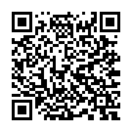 QR code for plate 335-POY