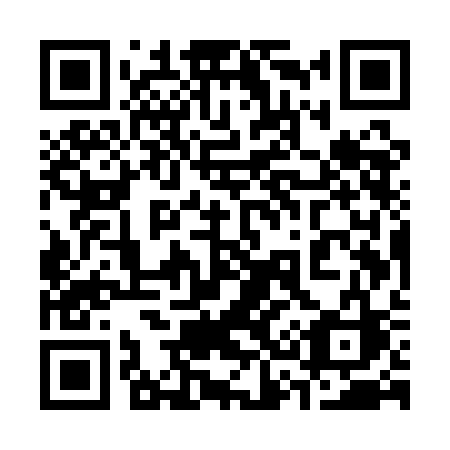 QR code for plate 335-QCC