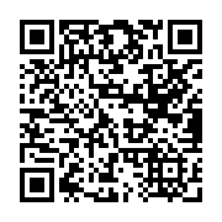 QR code for 335XFI