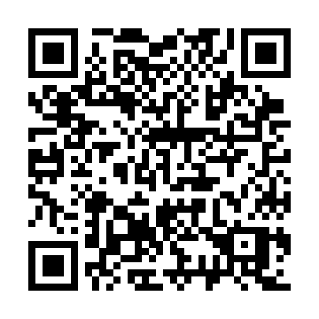 QR code for plate 336-CKP