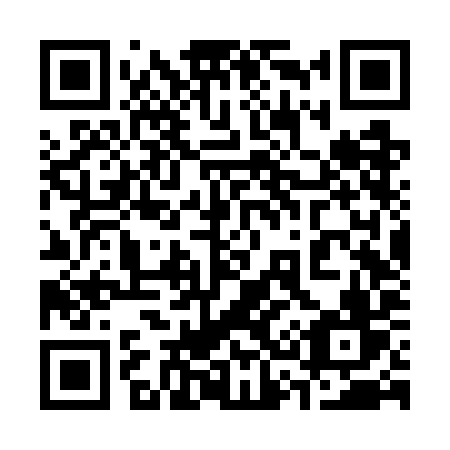 QR code for 336WIV