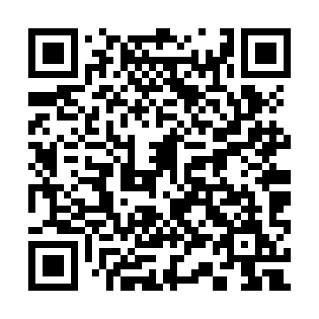 QR code for 336ZIM