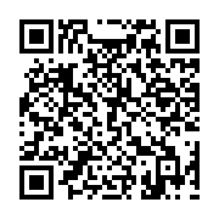 QR code for 338-IVA