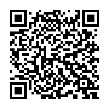 QR code for plate 338-FED