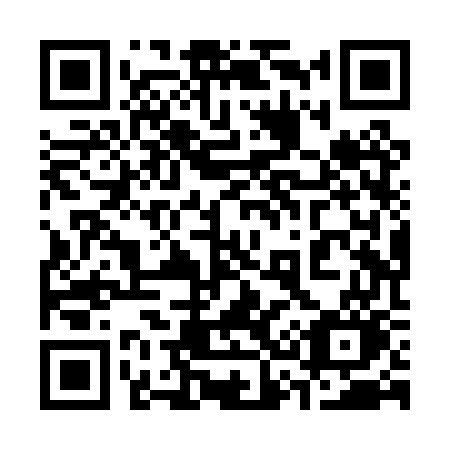 QR code for plate 338-PWO