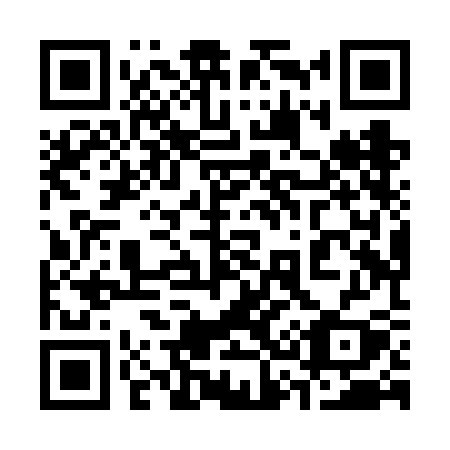 QR code for plate 338-VCY