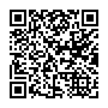 QR code for 338XSI