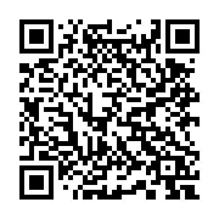 QR code for 339-DPR