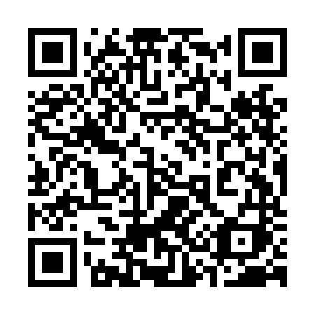 QR code for 339-LNI