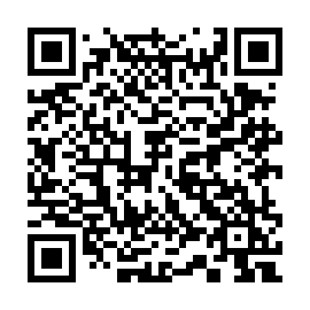 QR code for plate 339-DHK