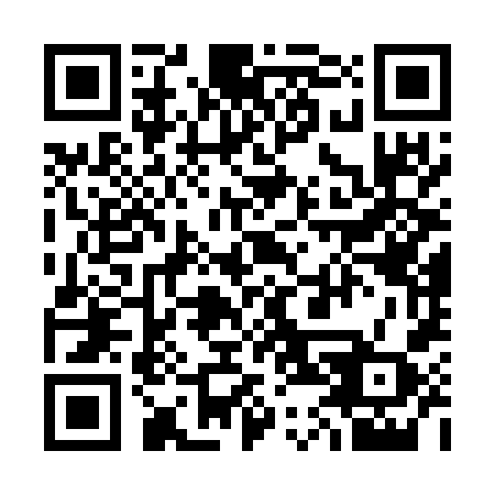 QR code for plate 343-WZX