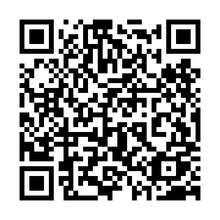 QR code for plate 345-DMQ