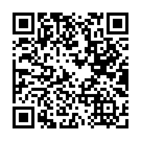 QR code for plate 370-SKV