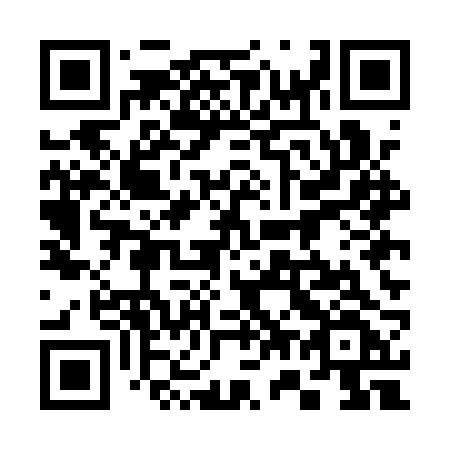 QR code for plate 375-ARF