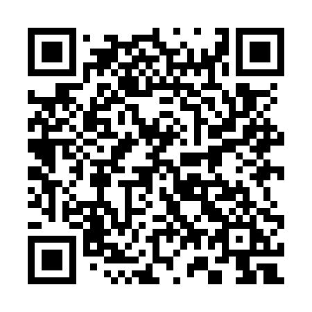 QR code for plate 379-OPI