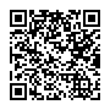QR code for plate 379-XGT