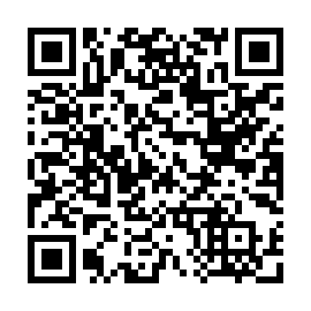 QR code for plate 380-JYP