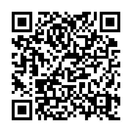 QR code for plate 380-KVX