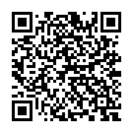QR code for plate 380-UEK