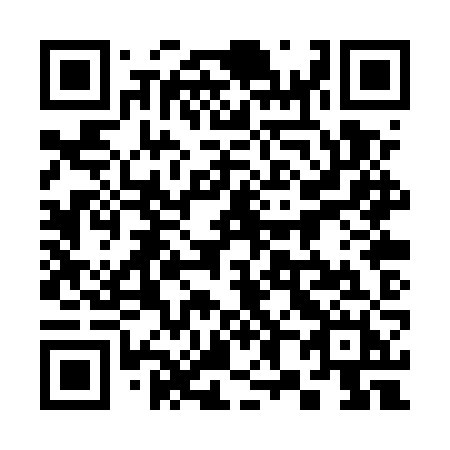 QR code for plate 380-UZH