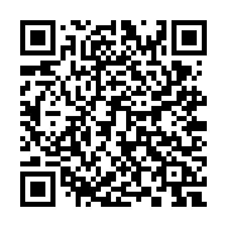 QR code for plate 380-VNB