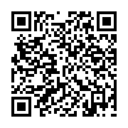 QR code for 381-RIM