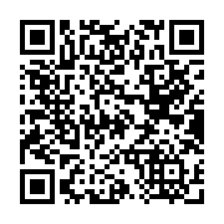 QR code for 381PHV