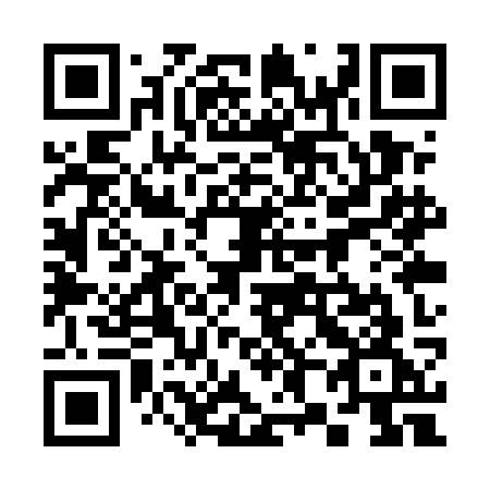 QR code for plate 381-UKG