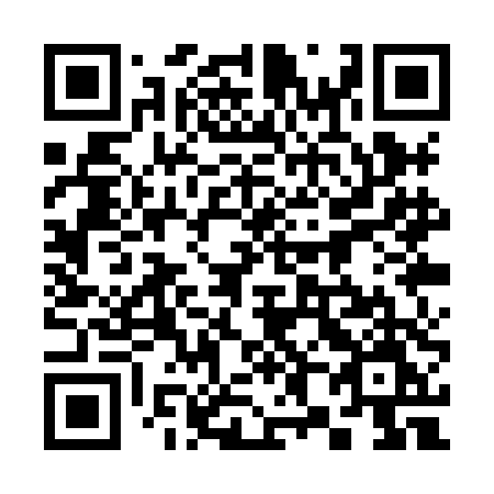 QR code for plate 381-XDM