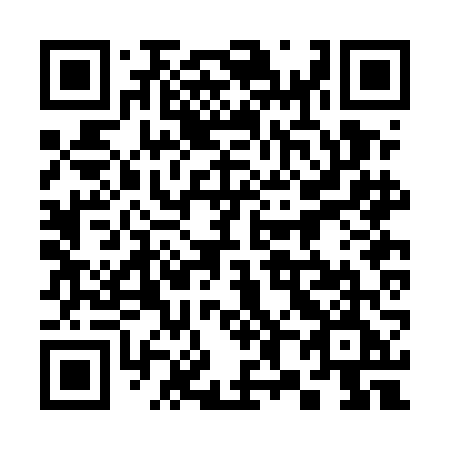 QR code for plate 382-EFE