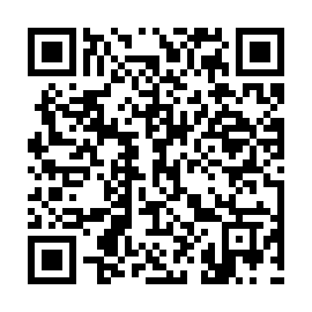 QR code for plate 382-SIW