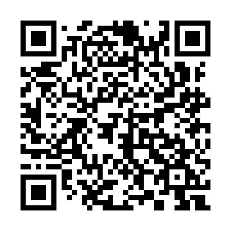 QR code for 383-IEG