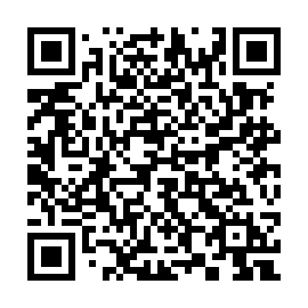 QR code for 383-MCH