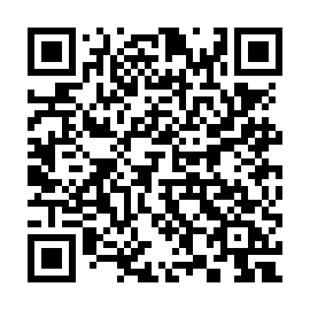 QR code for 383-NEC