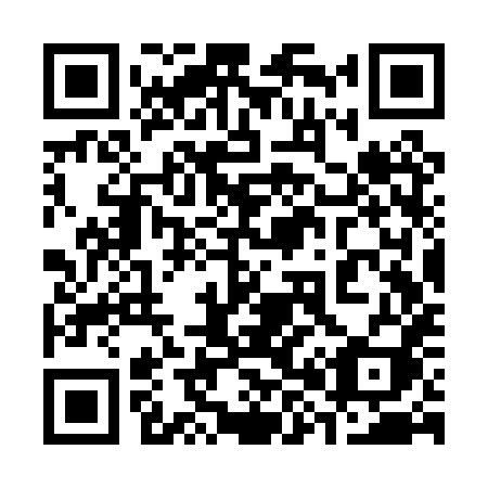 QR code for 383-PXI