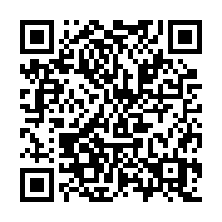 QR code for plate 383-BWT